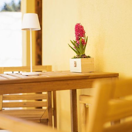 La Casetta Di Grace Sesto Fiorentino Eksteriør billede